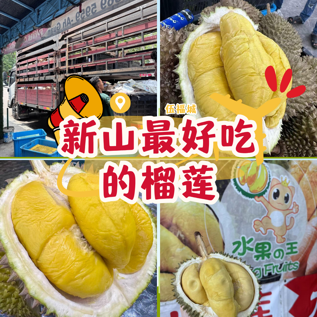 新山最好吃的榴莲